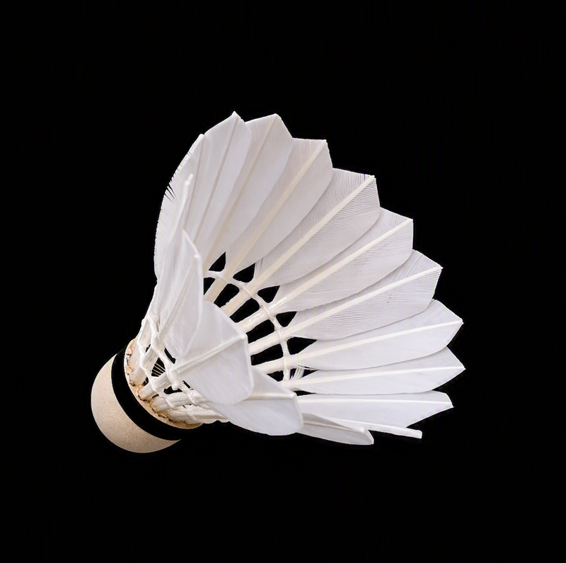 Goose Feather Badminton Shuttlecocks High Quality Professional Grade